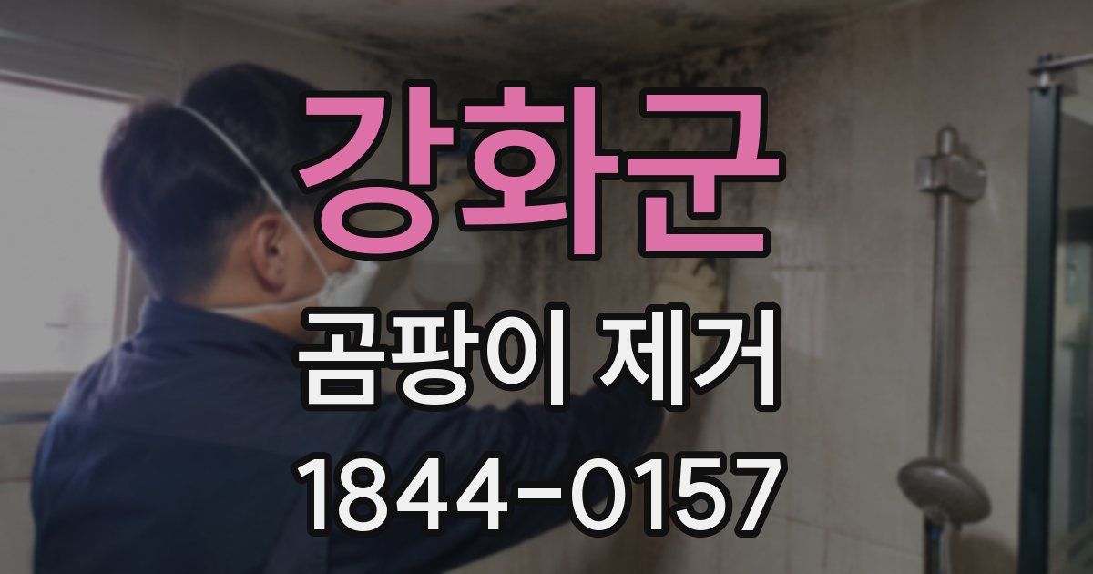 강화군 곰팡이 제거