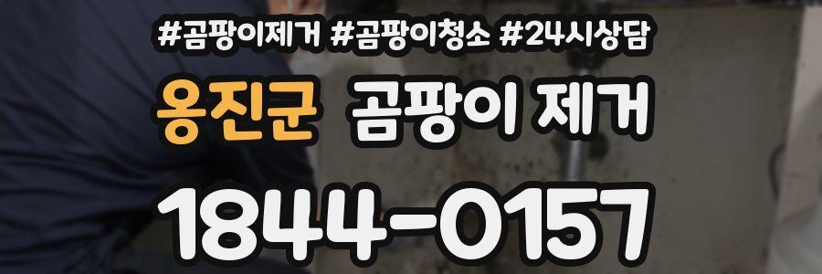 옹진군 곰팡이 제거