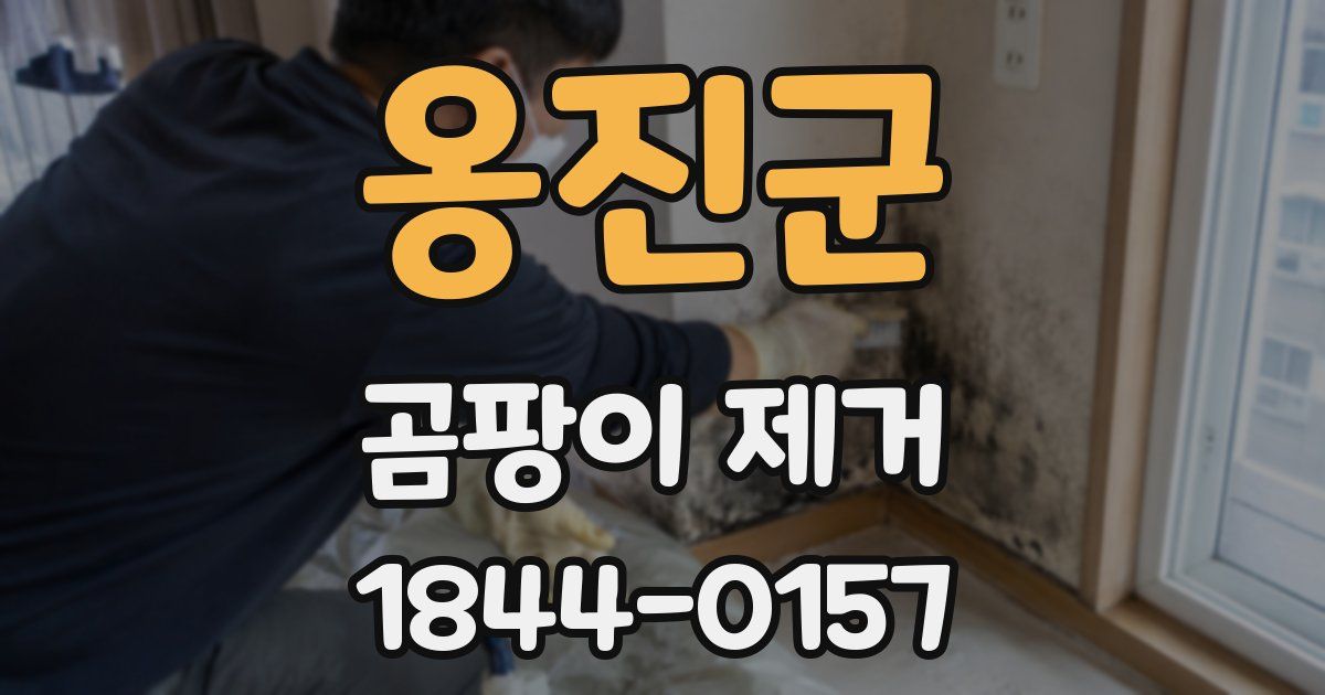 옹진군 곰팡이 제거