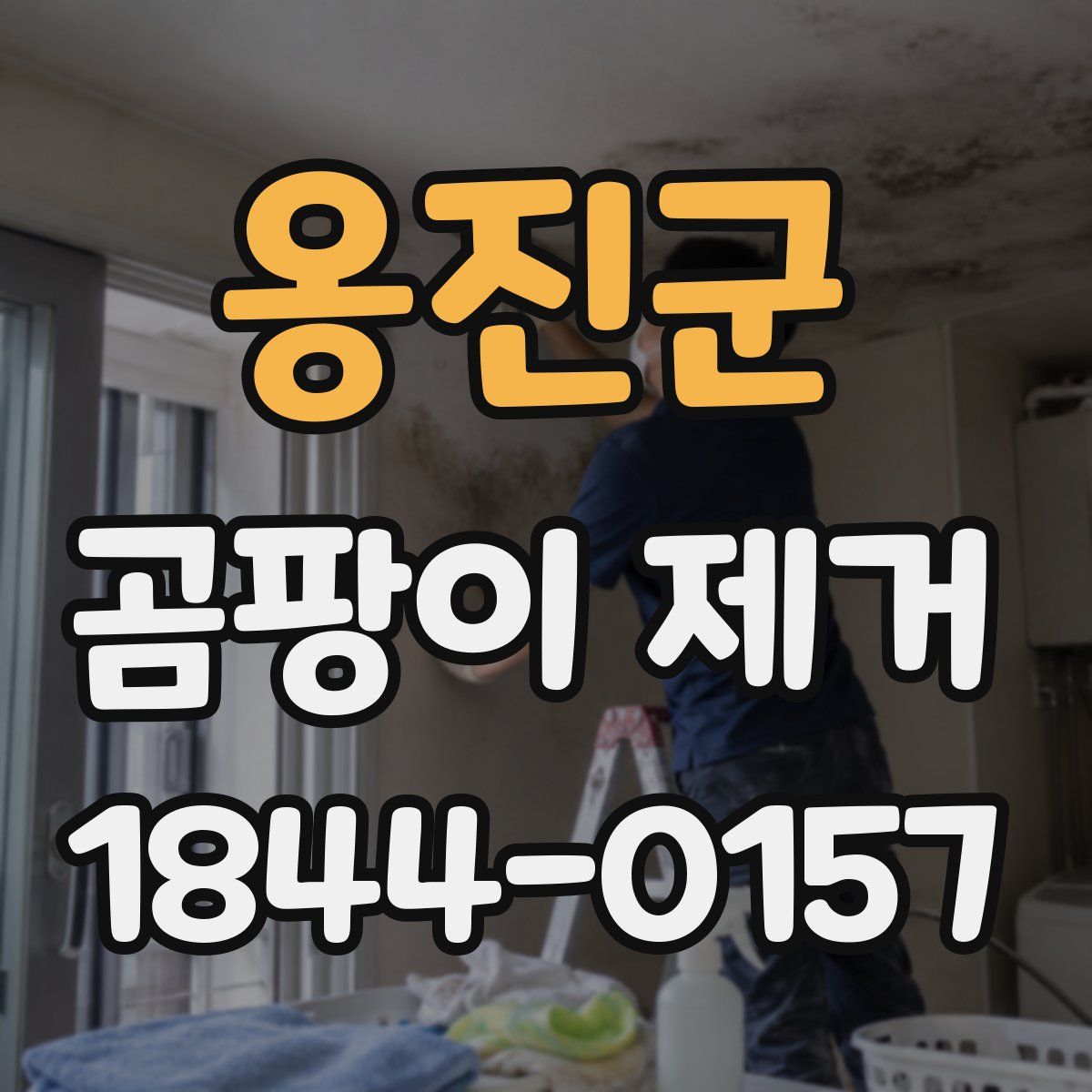 옹진군 곰팡이 제거