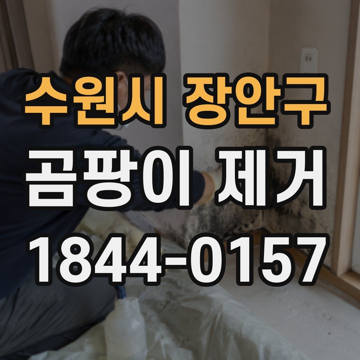 수원시 장안구 곰팡이 제거 곰팡이 냄새가 많이 배어 있을 때 확인할 곳