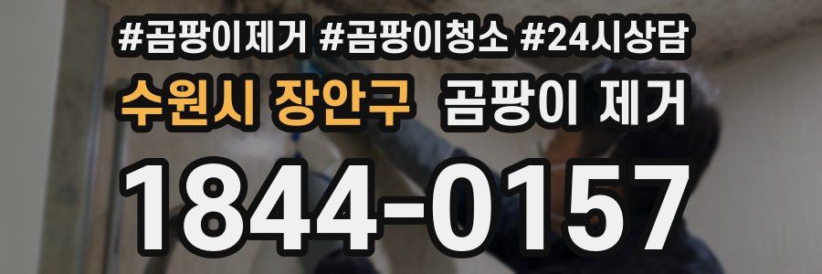 수원시 장안구 곰팡이 제거