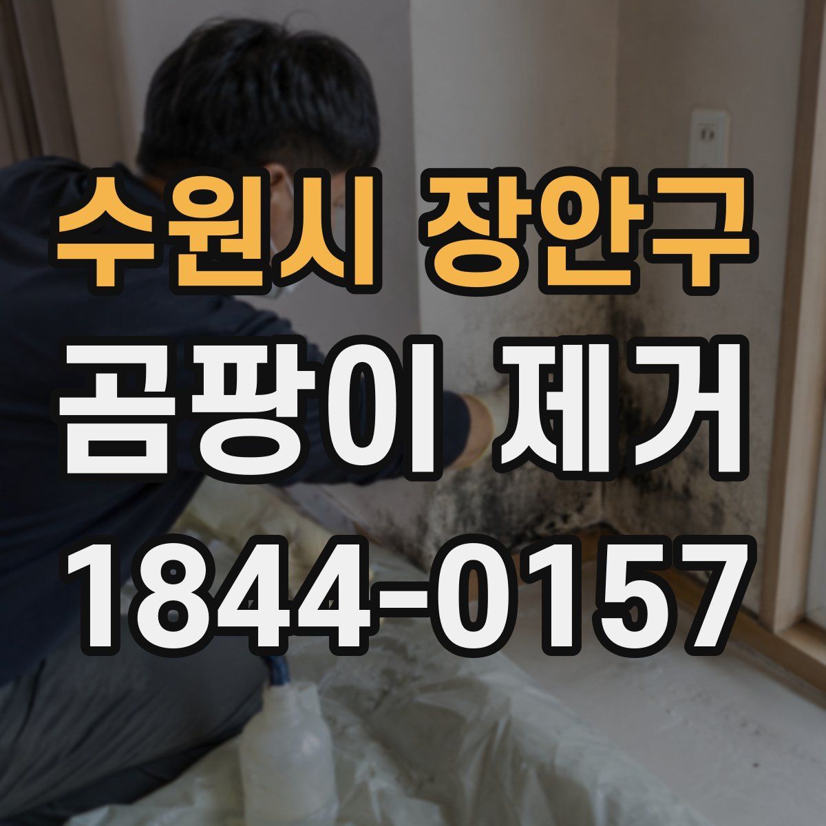 수원시 장안구 곰팡이 제거