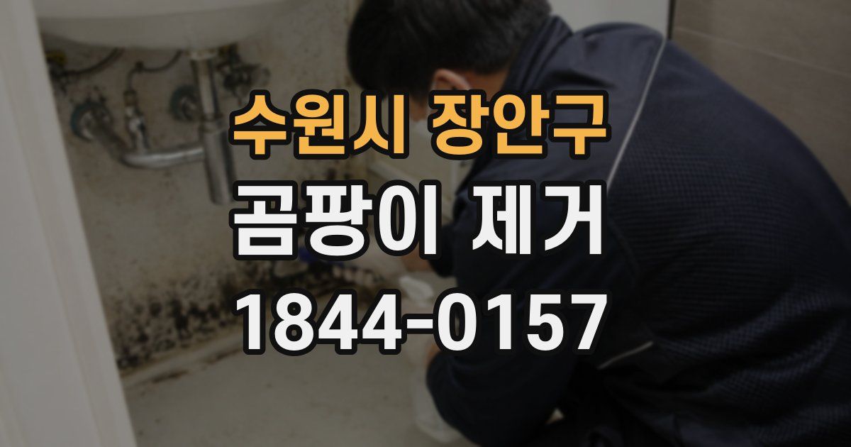 수원시 장안구 곰팡이 제거