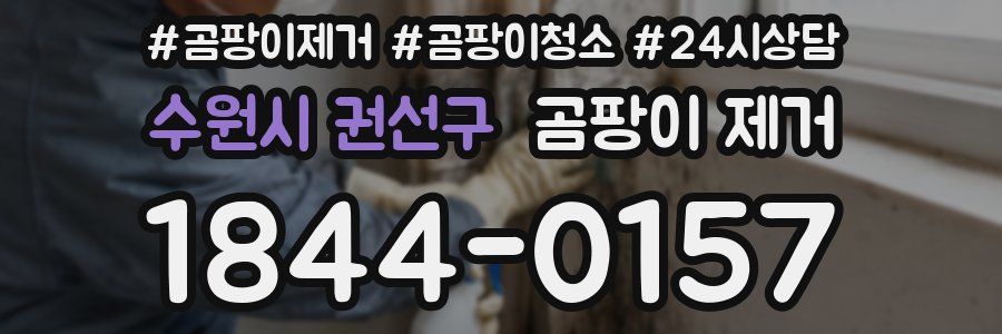 수원시 권선구 곰팡이 제거