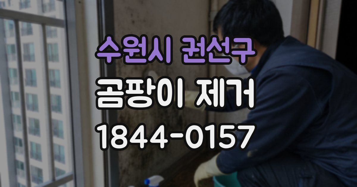 수원시 권선구 곰팡이 제거
