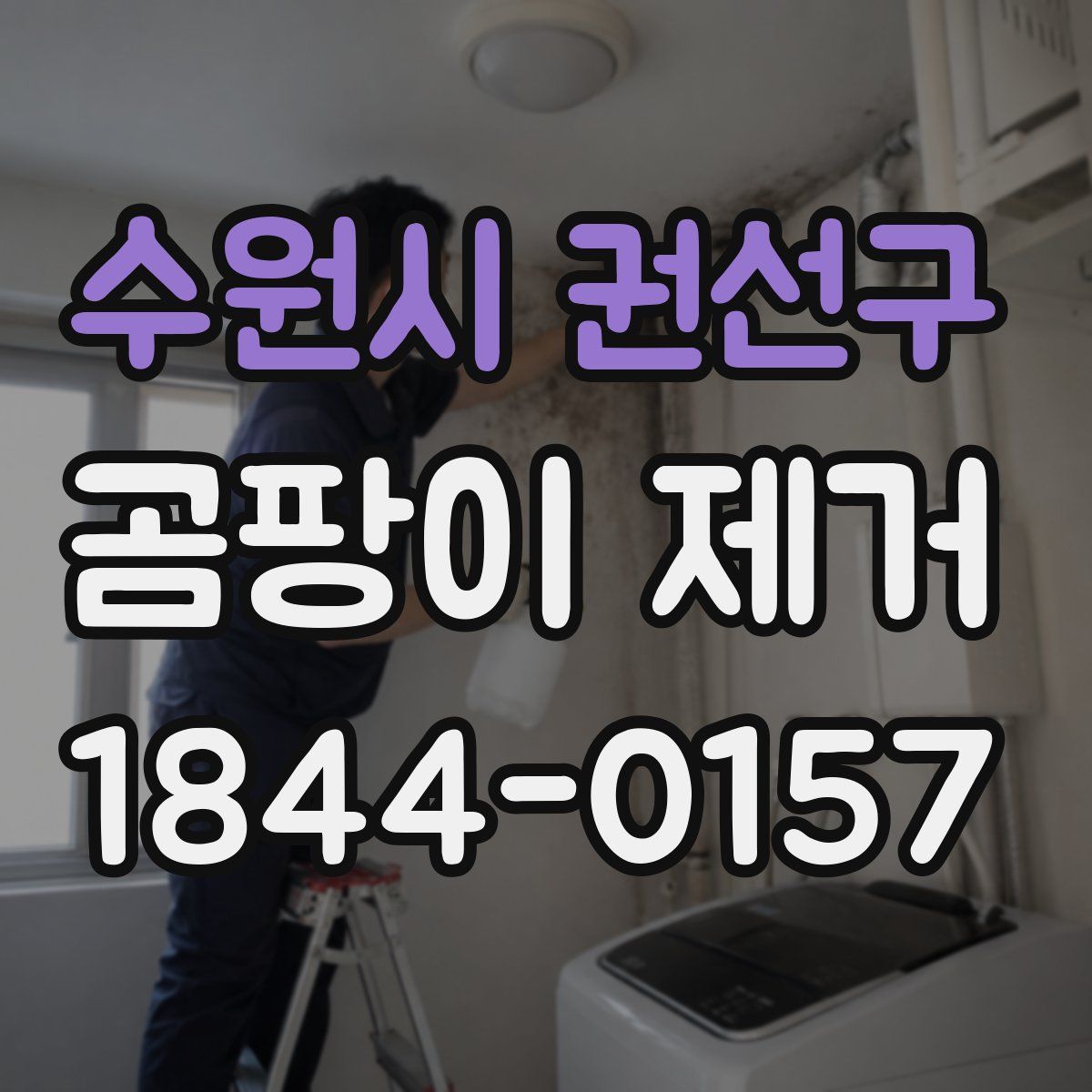 수원시 권선구 곰팡이 제거