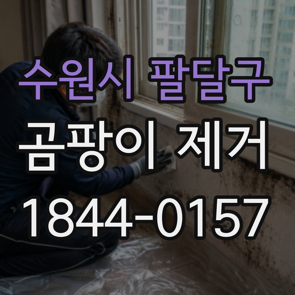 수원시 팔달구 곰팡이 제거
