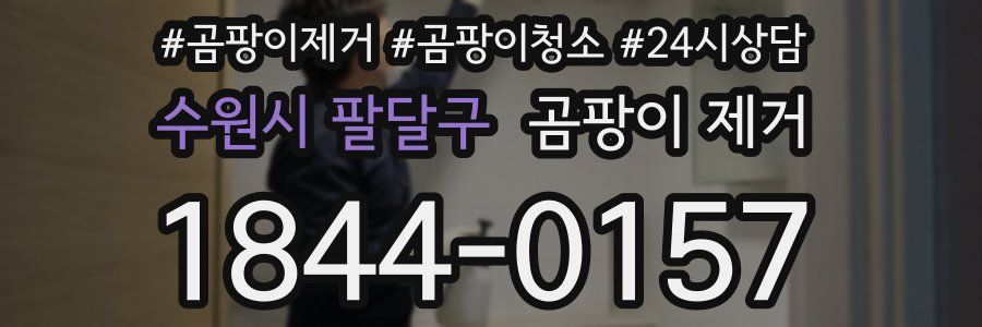 수원시 팔달구 곰팡이 제거