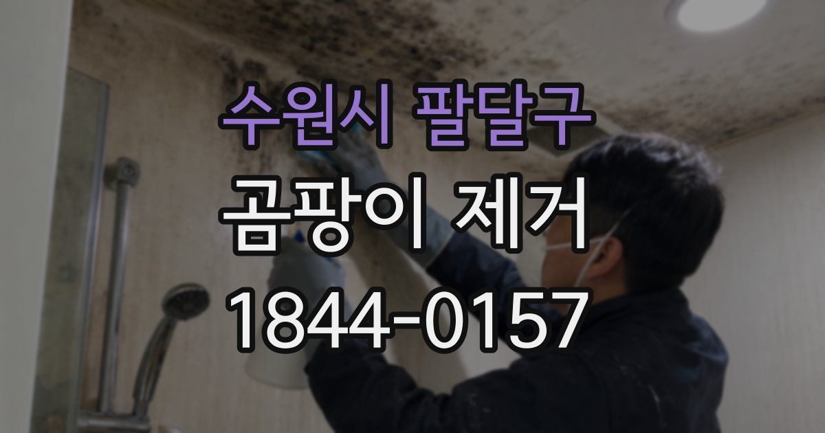 수원시 팔달구 곰팡이 제거