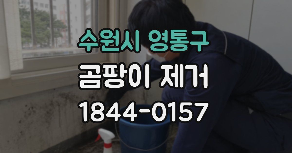 수원시 영통구 곰팡이 제거