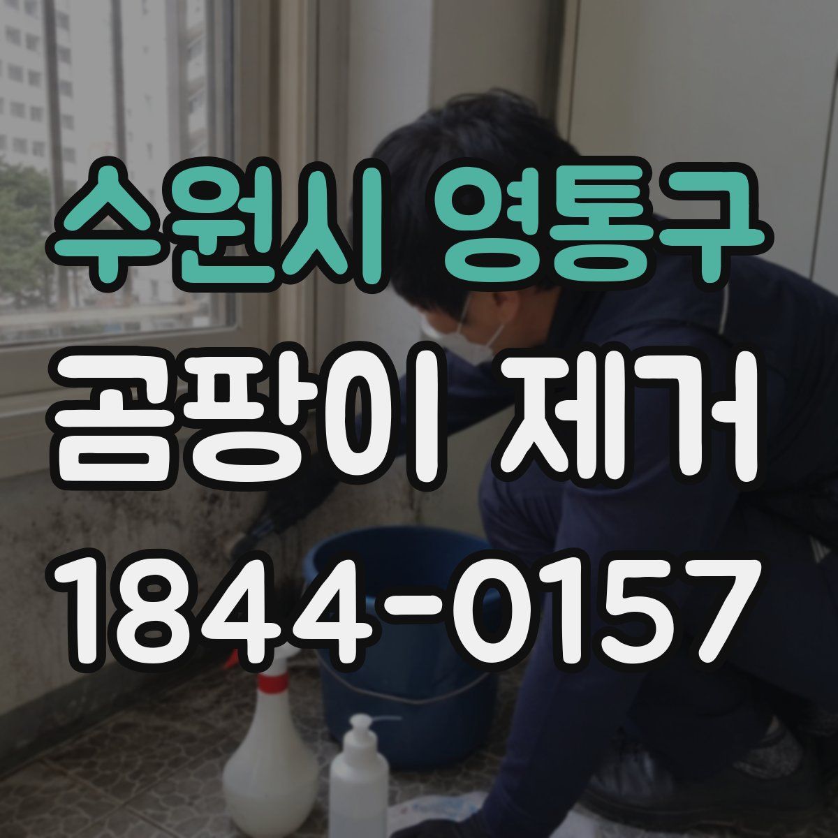수원시 영통구 곰팡이 제거
