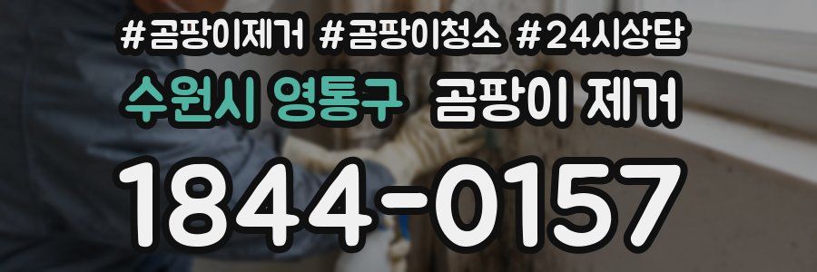 수원시 영통구 곰팡이 제거