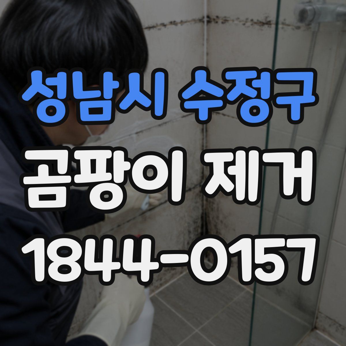 성남시 수정구 곰팡이 제거
