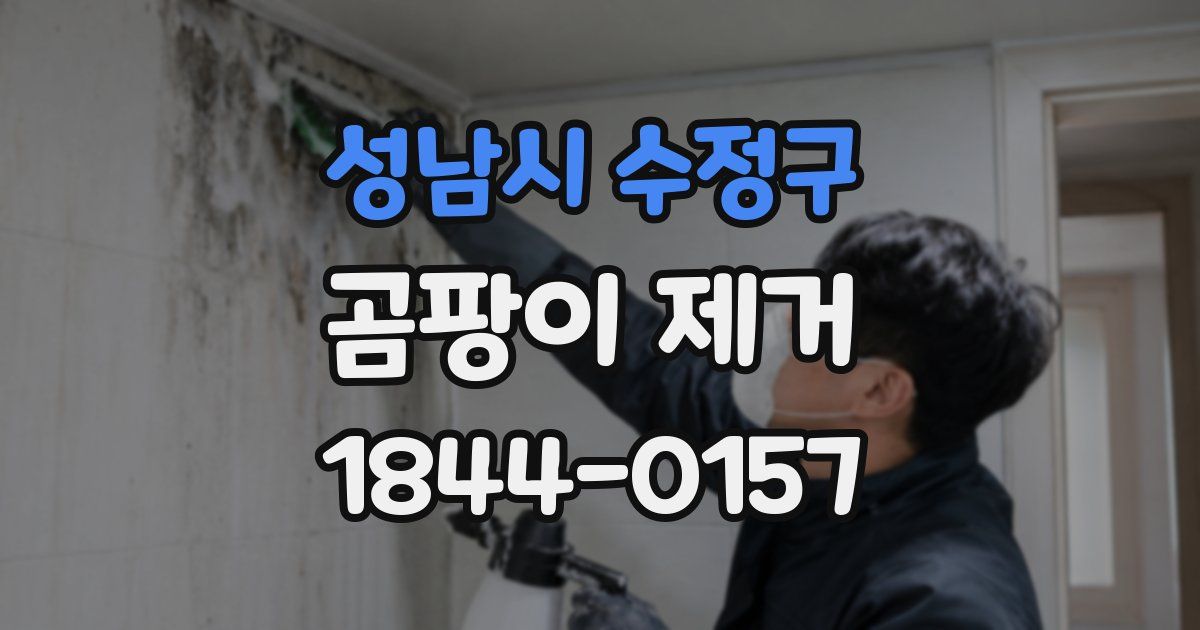 성남시 수정구 곰팡이 제거
