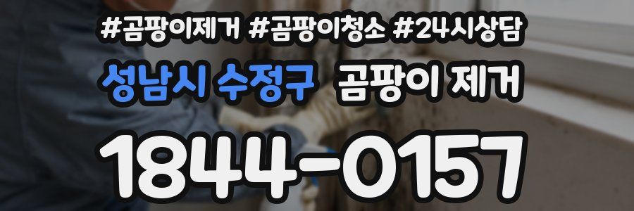성남시 수정구 곰팡이 제거
