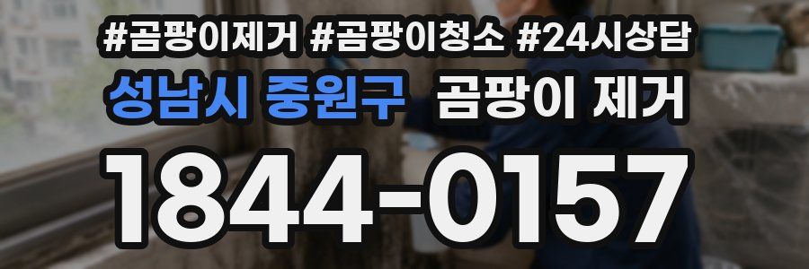 성남시 중원구 곰팡이 제거