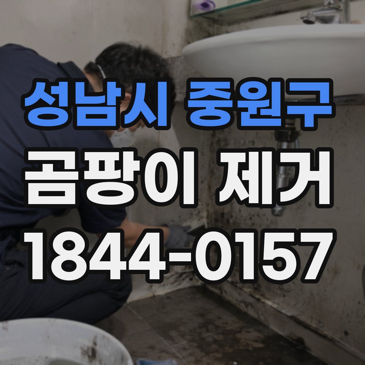 성남시 중원구 곰팡이 제거