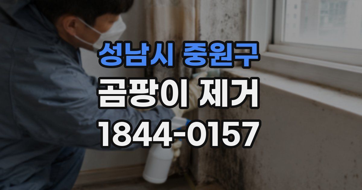 성남시 중원구 곰팡이 제거