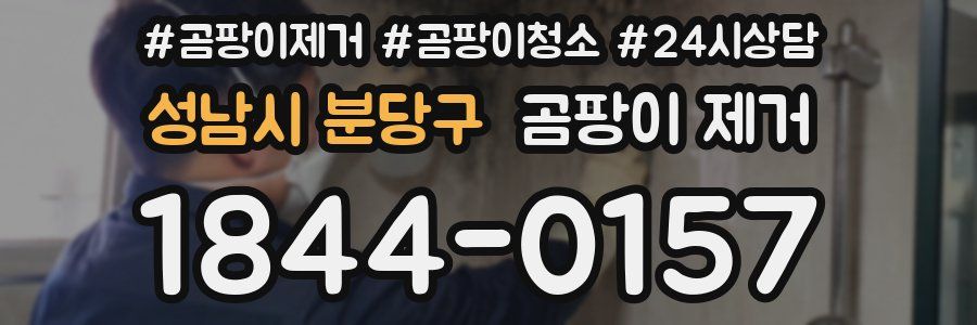 성남시 분당구 곰팡이 제거