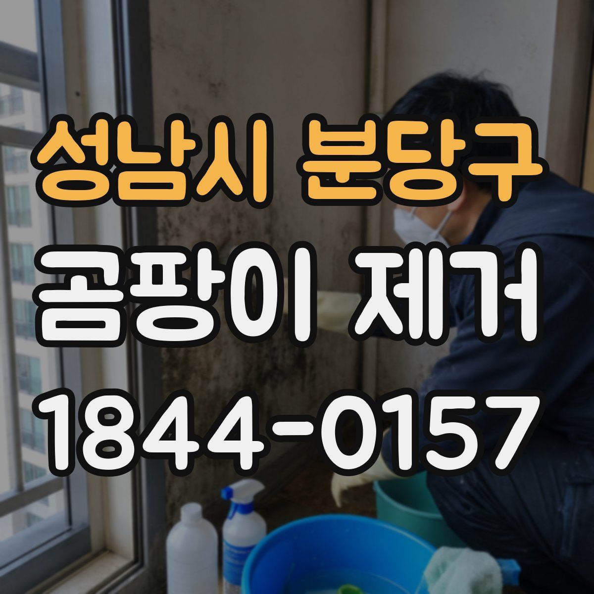 성남시 분당구 곰팡이 제거