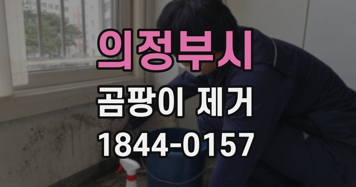 의정부시 곰팡이 제거