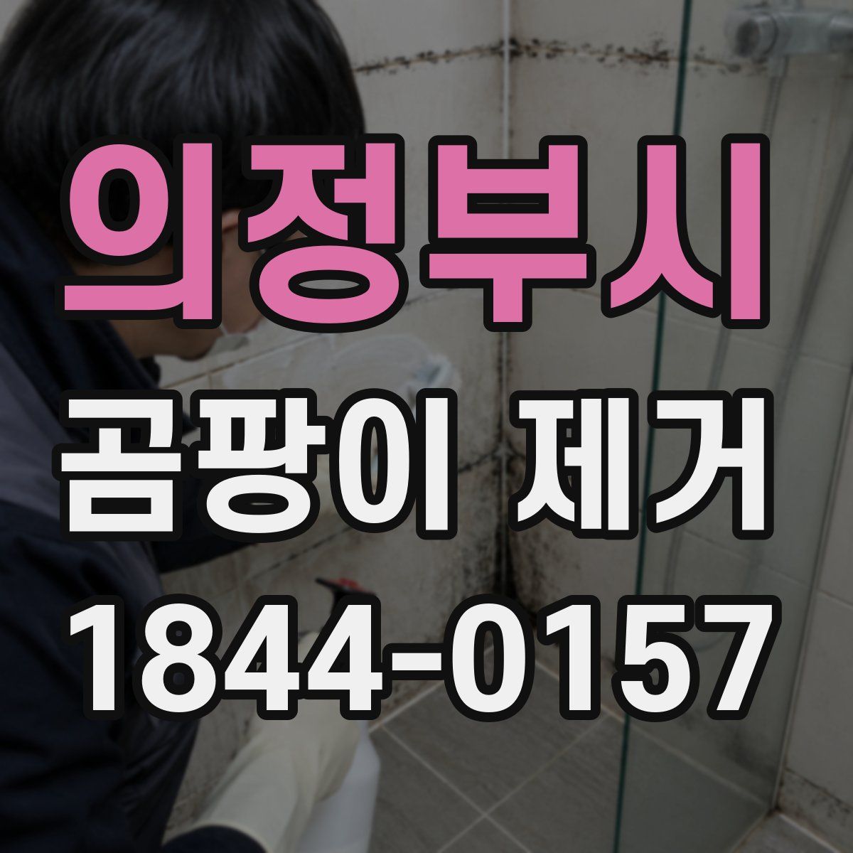 의정부시 곰팡이 제거