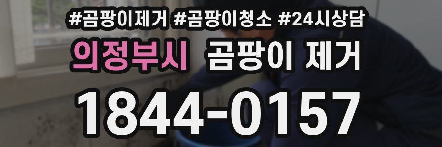 의정부시 곰팡이 제거
