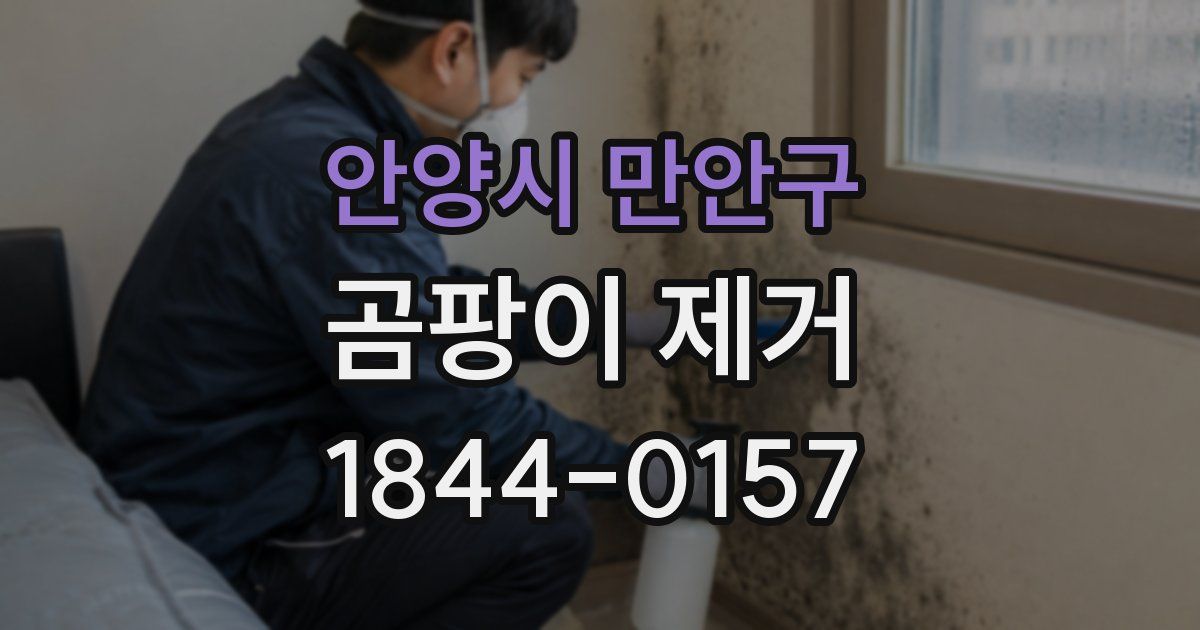 안양시 만안구 곰팡이 제거