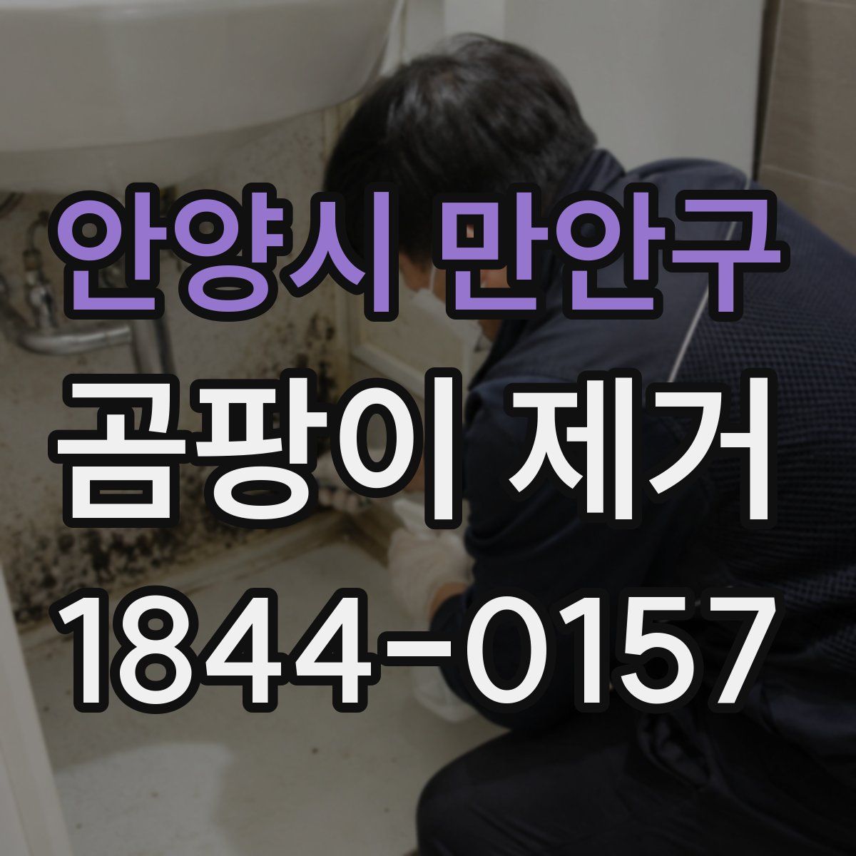 안양시 만안구 곰팡이 제거