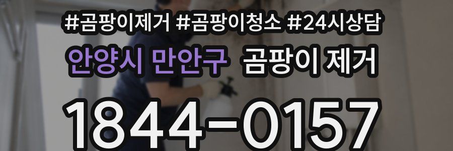 안양시 만안구 곰팡이 제거