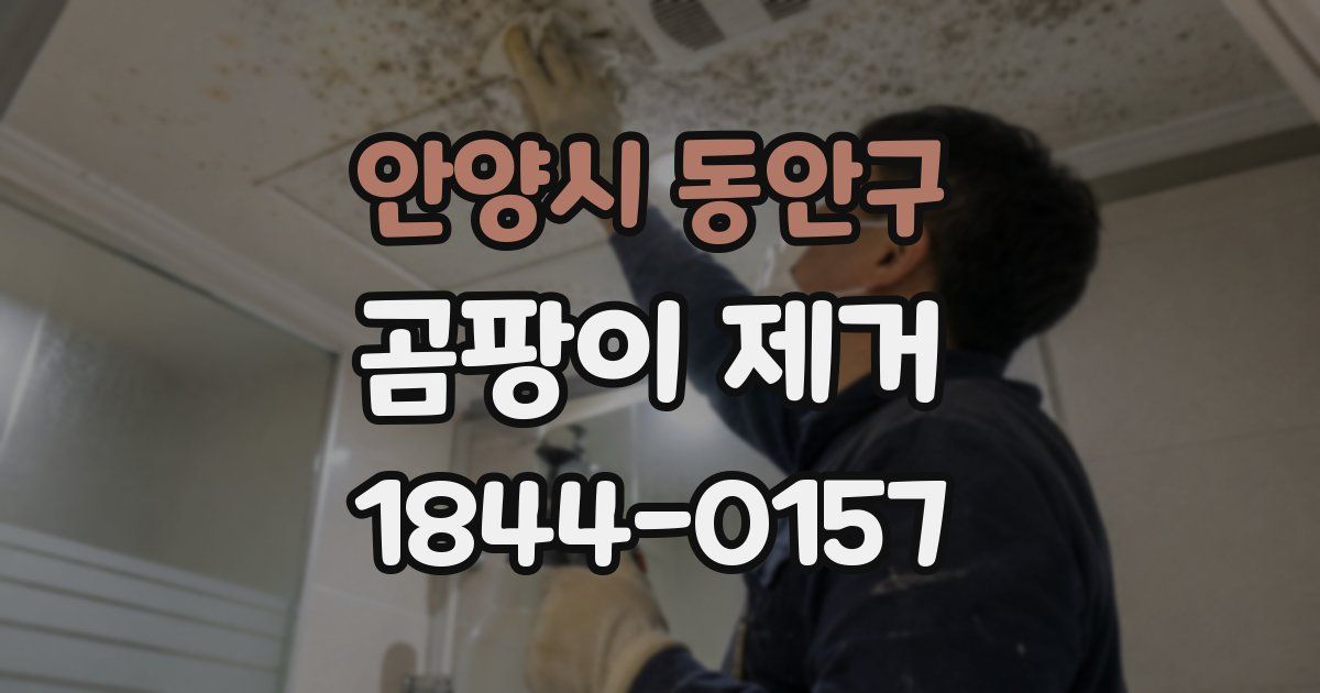 안양시 동안구 곰팡이 제거