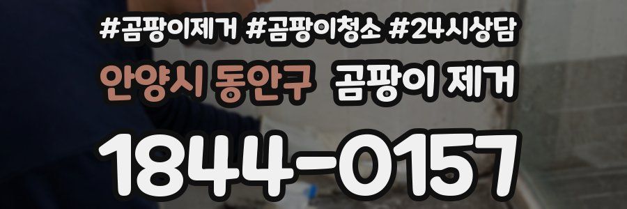 안양시 동안구 곰팡이 제거