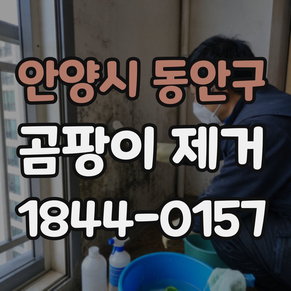 안양시 동안구 곰팡이 제거