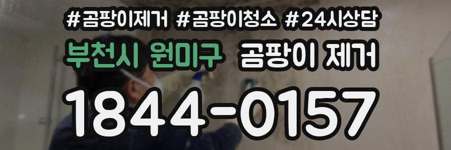 부천시 원미구 곰팡이 제거