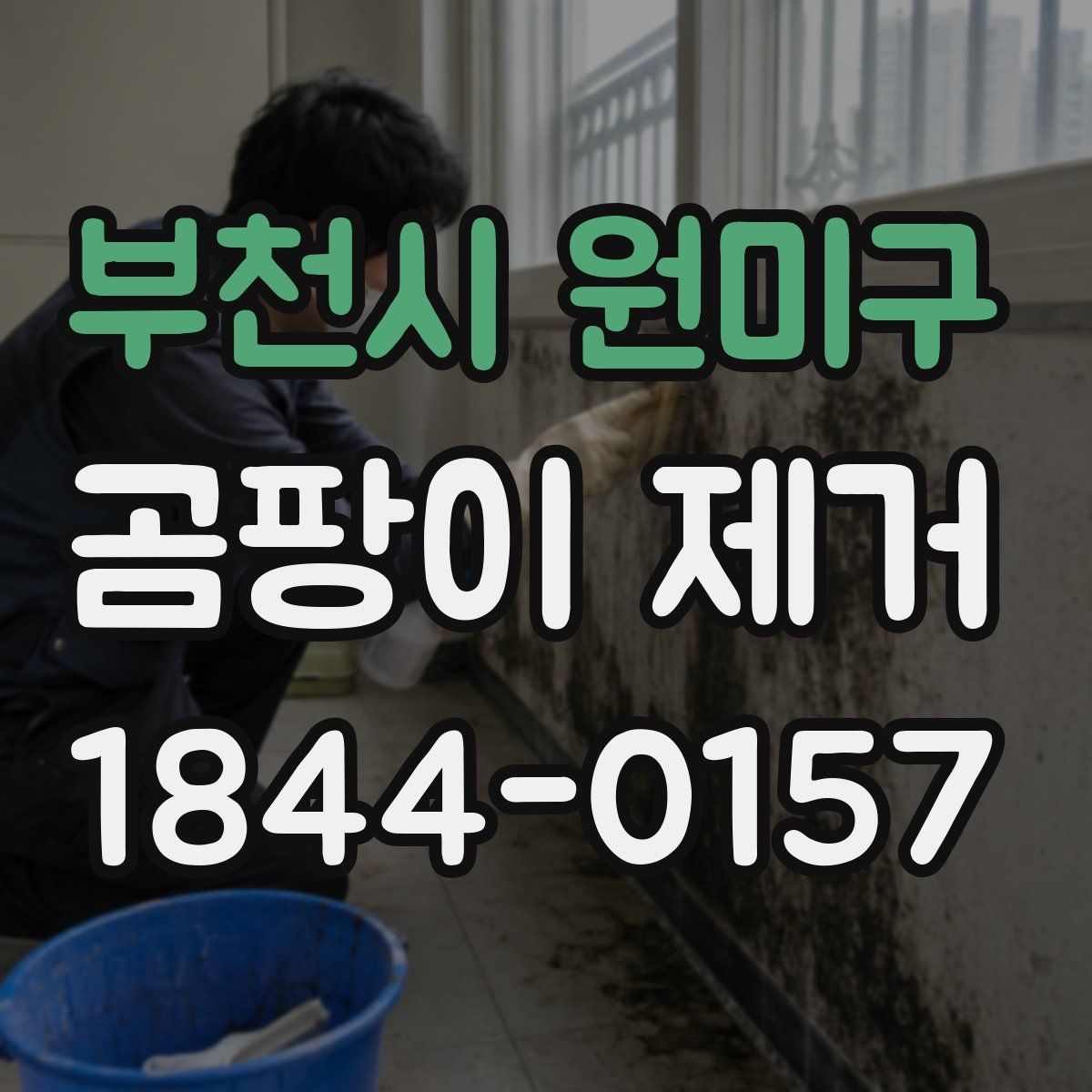 부천시 원미구 곰팡이 제거