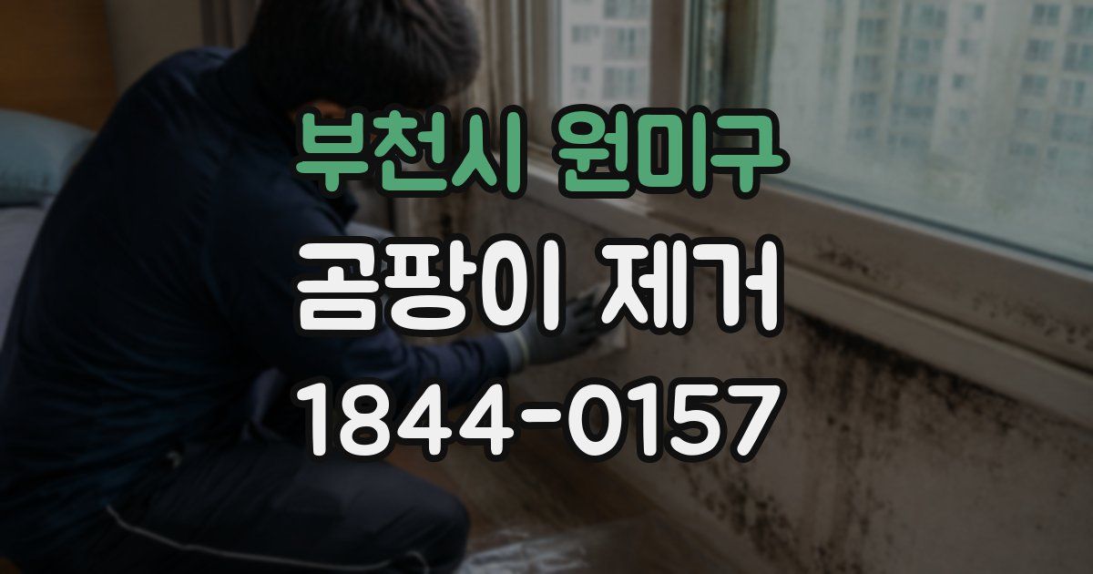 부천시 원미구 곰팡이 제거