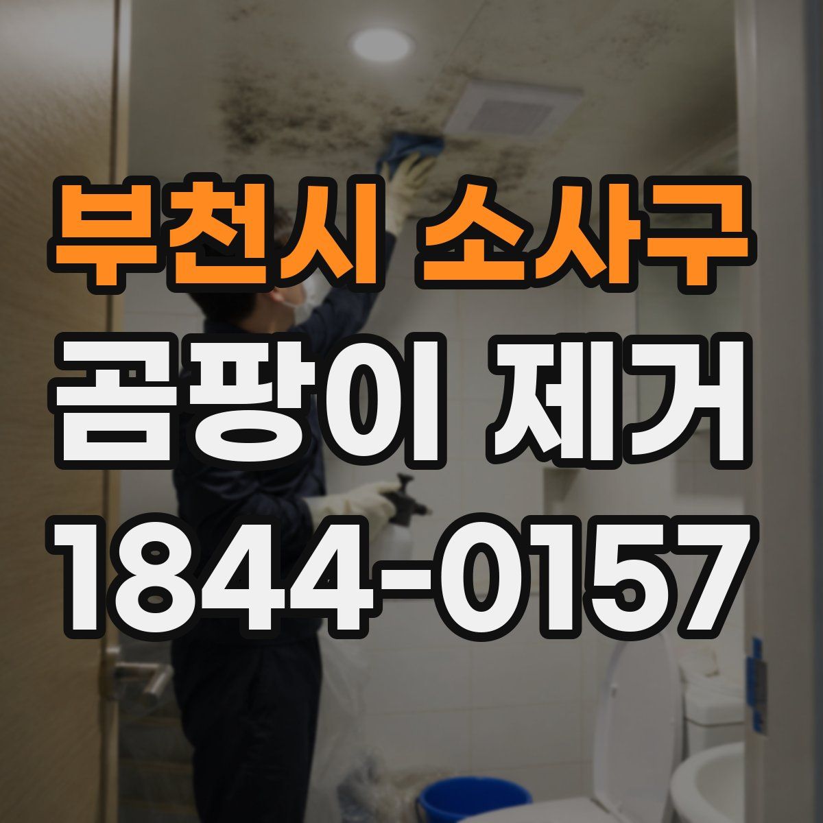 부천시 소사구 곰팡이 제거