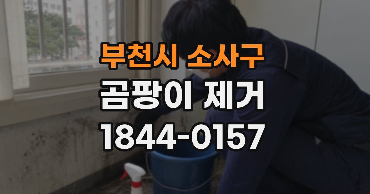 부천시 소사구 곰팡이 제거