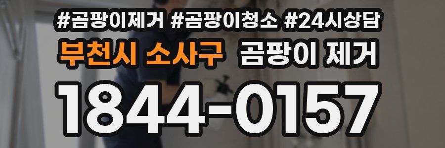 부천시 소사구 곰팡이 제거