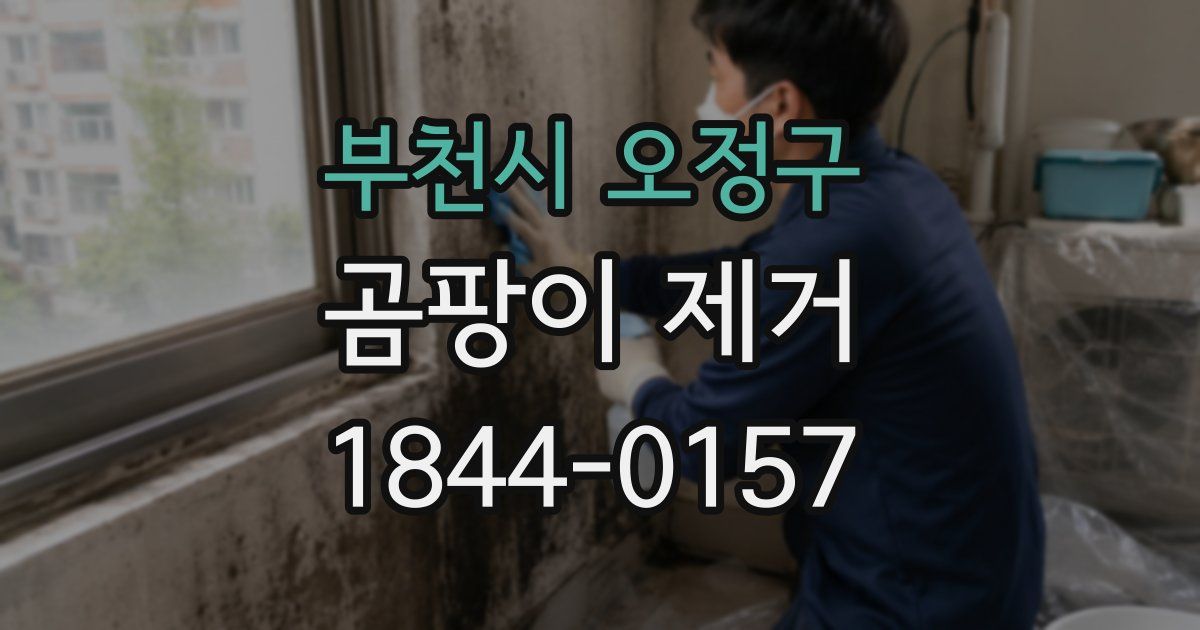 부천시 오정구 곰팡이 제거