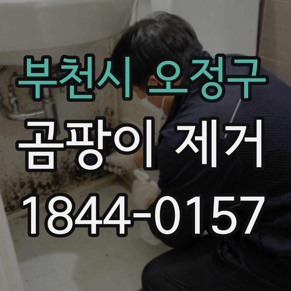 부천시 오정구 곰팡이 제거