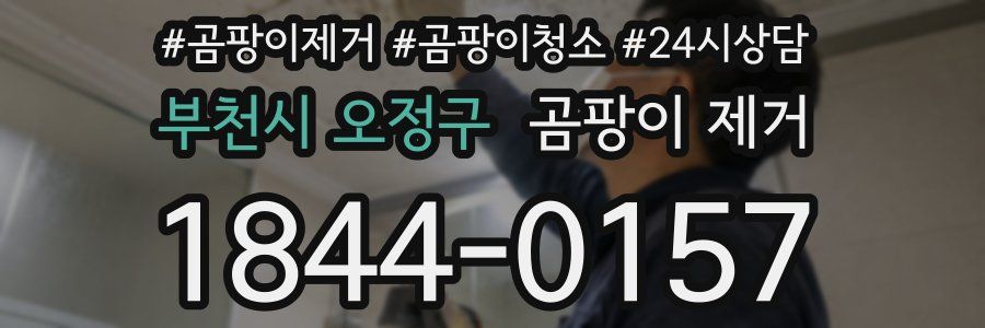 부천시 오정구 곰팡이 제거
