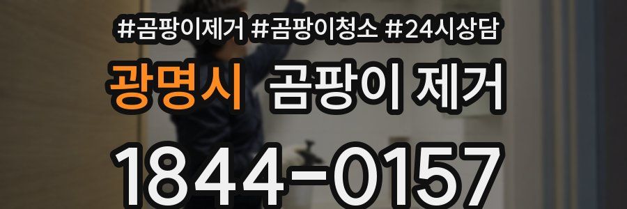 광명시 곰팡이 제거