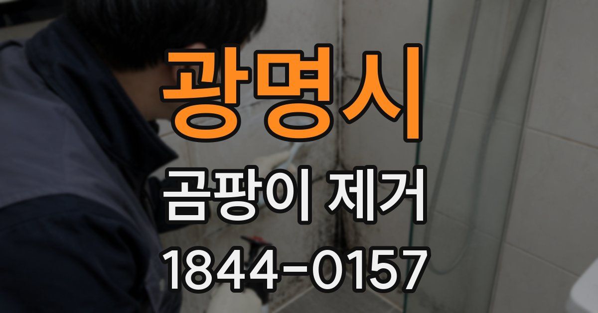 광명시 곰팡이 제거