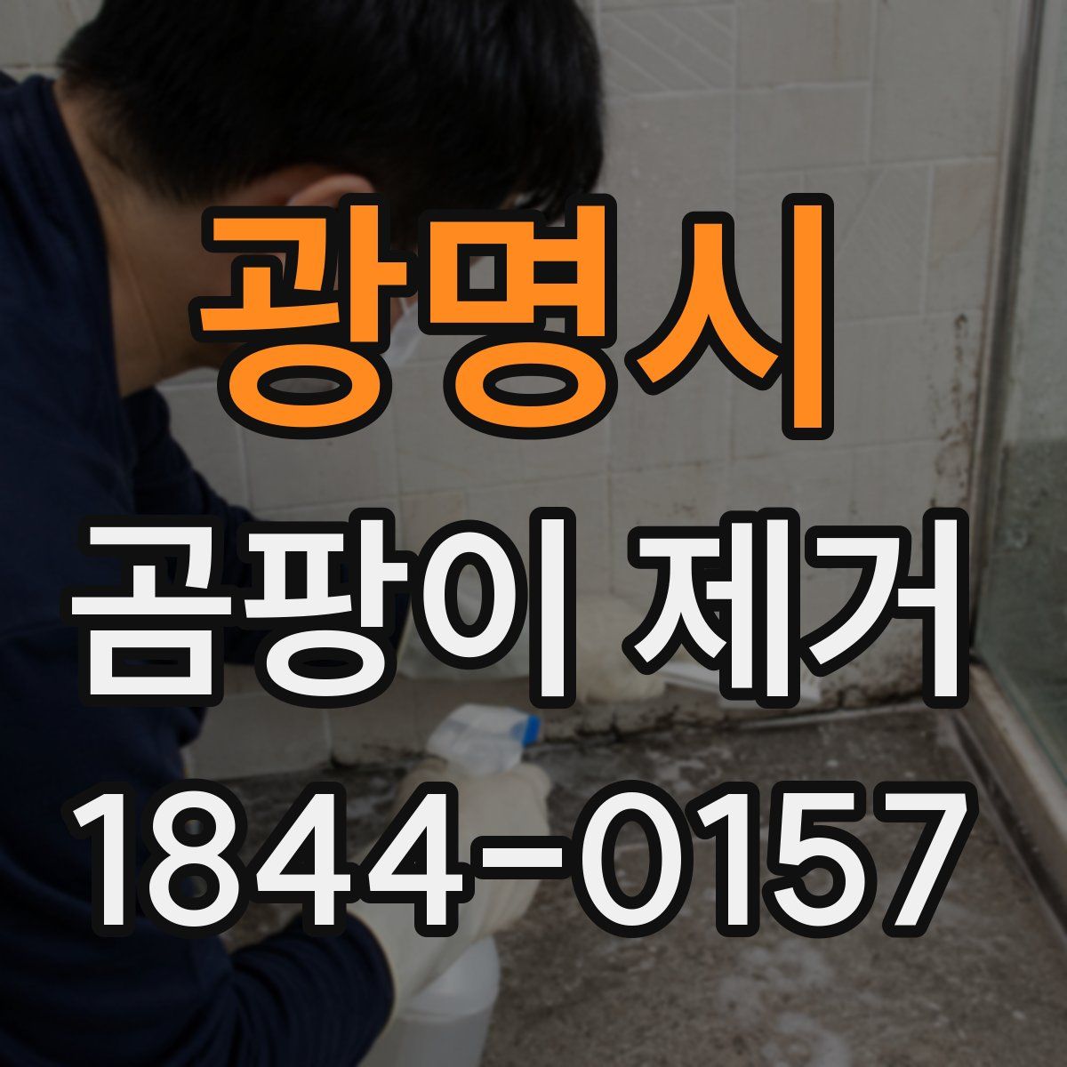 광명시 곰팡이 제거