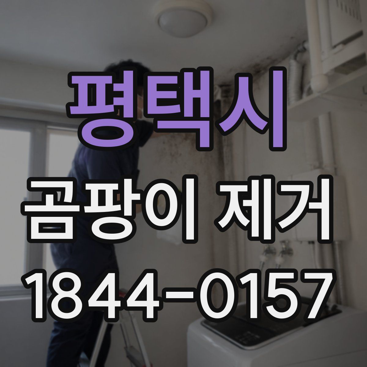 평택시 곰팡이 제거