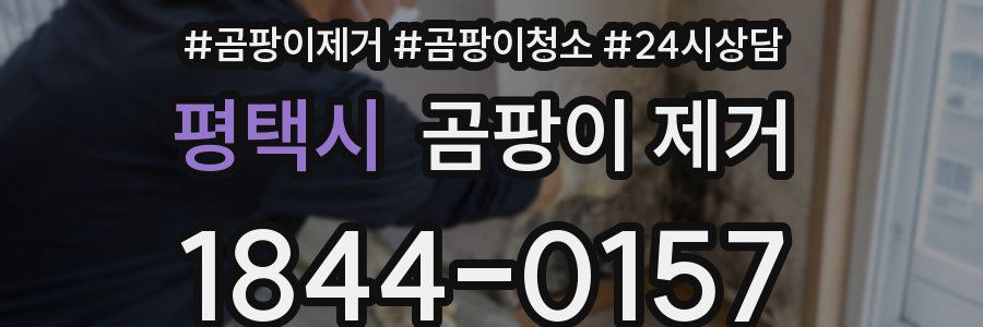 평택시 곰팡이 제거