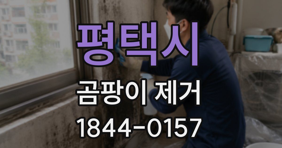 평택시 곰팡이 제거