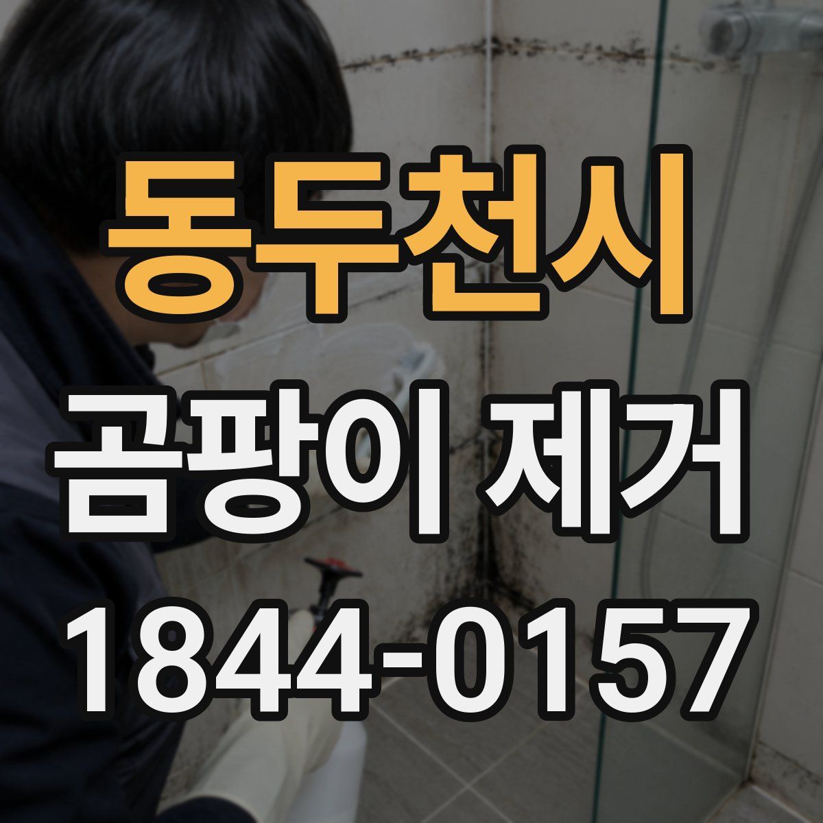 동두천시 곰팡이 제거